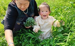 天使怪盗百度影音